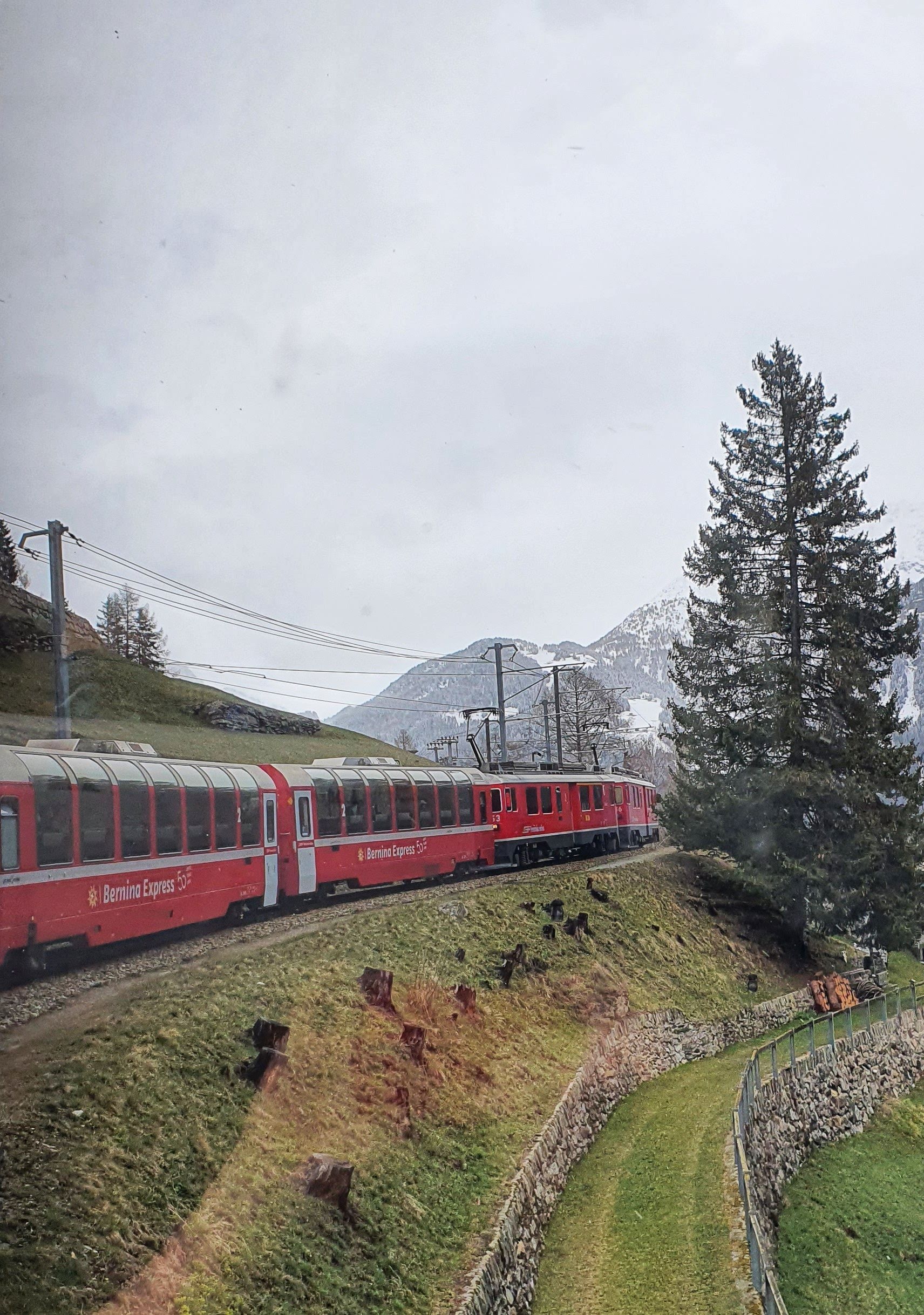 vagones panorámicos en el Bernina Express